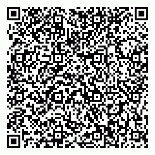 vCard 79196200335