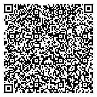 vCard 79196200348