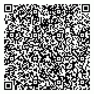 vCard 79196200355