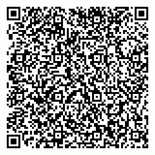 vCard 79196200380