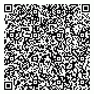 vCard 79196200397
