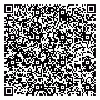 vCard 79197840208
