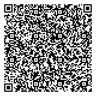 vCard 79197840308