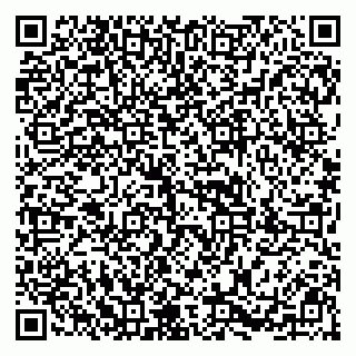 vCard 79197840313