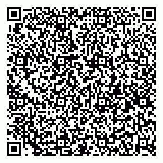 vCard 79197840333