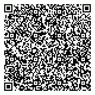 vCard 79197840381