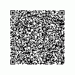 vCard 79199000009