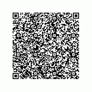 vCard 79199000081