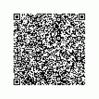 vCard 79199000215