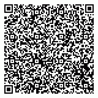 vCard 79201000539