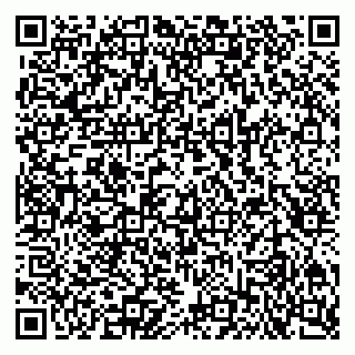 vCard 79201003730
