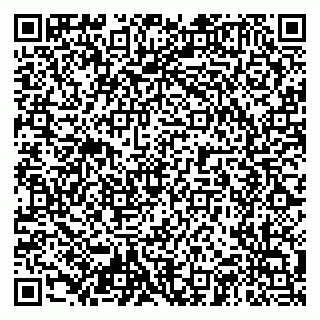 vCard 79204155087