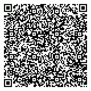 vCard 79205500013