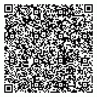 vCard 79205500031
