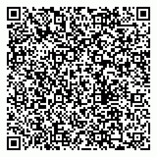 vCard 79205500039