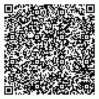 vCard 79205500111