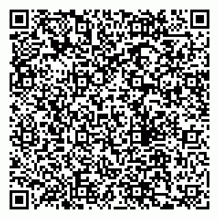 vCard 79205500130