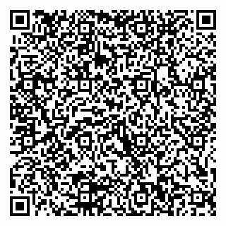 vCard 79205500131