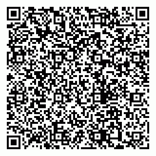 vCard 79205500133