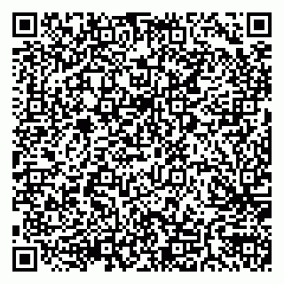 vCard 79205500312