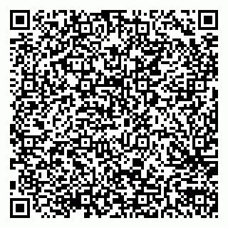vCard 79205500313
