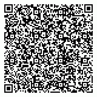 vCard 79205500318