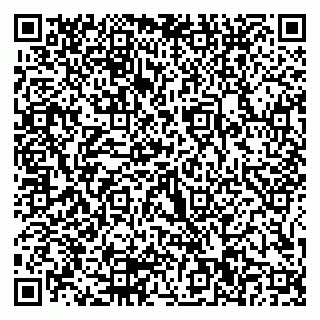 vCard 79205500331