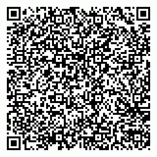 vCard 79205500363