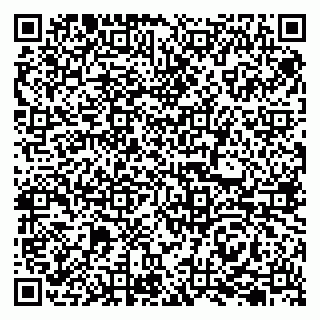 vCard 79207000215