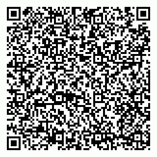 vCard 79208000173