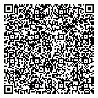 vCard 79208000539