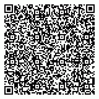 vCard 79210016413