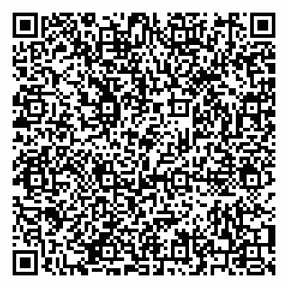 vCard 79210018381
