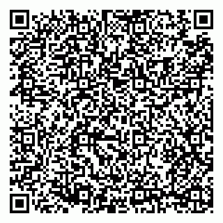 vCard 79210019373