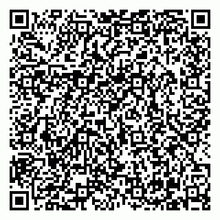 vCard 79210020994