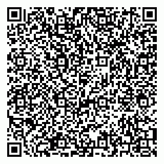 vCard 79210021381