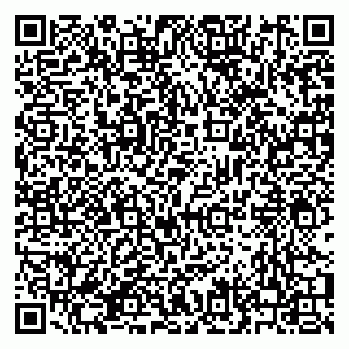 vCard 79210023873