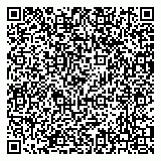 vCard 79210027132