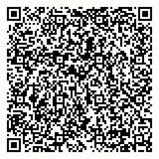 vCard 79210030533