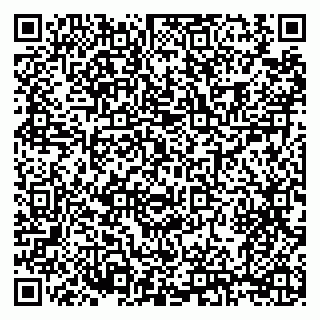 vCard 79210032539