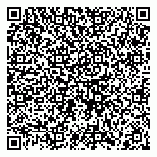 vCard 79210033001