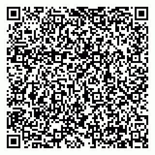 vCard 79210038133