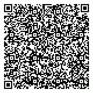 vCard 79210038140