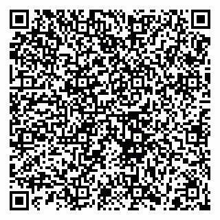 vCard 79210039363