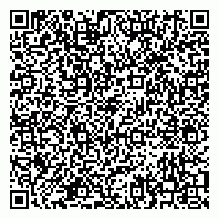 vCard 79210040100