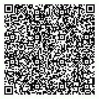 vCard 79210040173