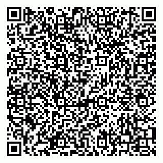 vCard 79210041300