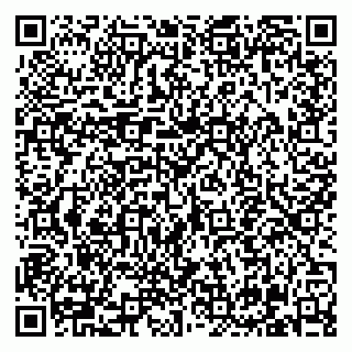 vCard 79210041373