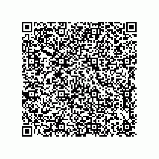 vCard 79210053813