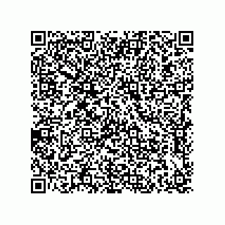 vCard 79210053913